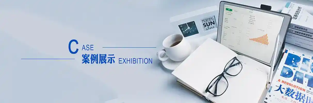 枣强县软件开发
